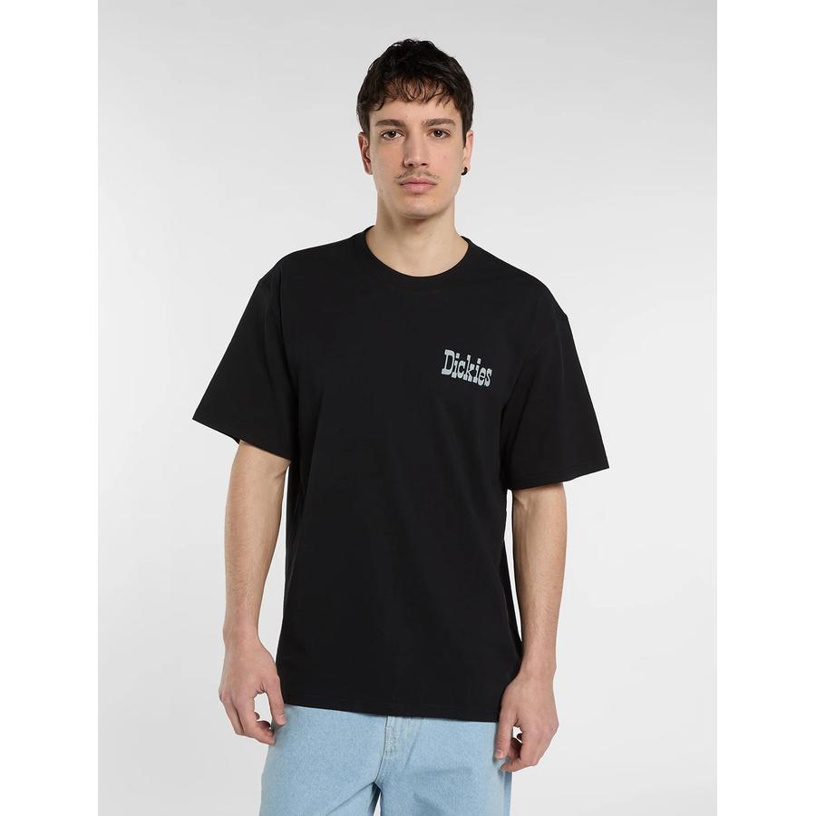 Dickies Vernal T-Shirt - Black