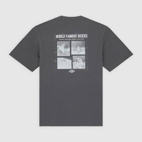 Dickies Wolfhurst T-Shirt - Charcoal