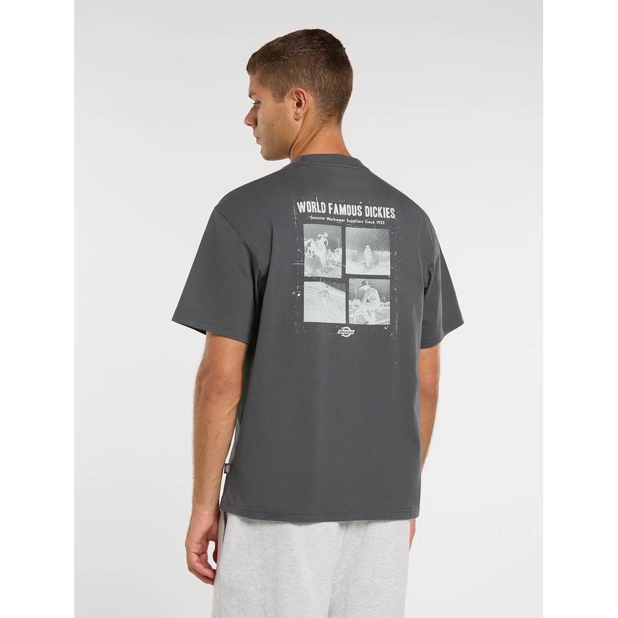 Dickies Wolfhurst T-Shirt - Charcoal