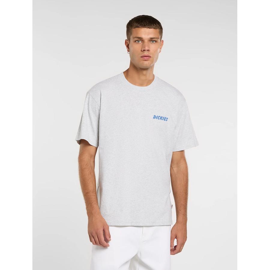 Dickies Dry Ridge T-Shirt - Light Grey