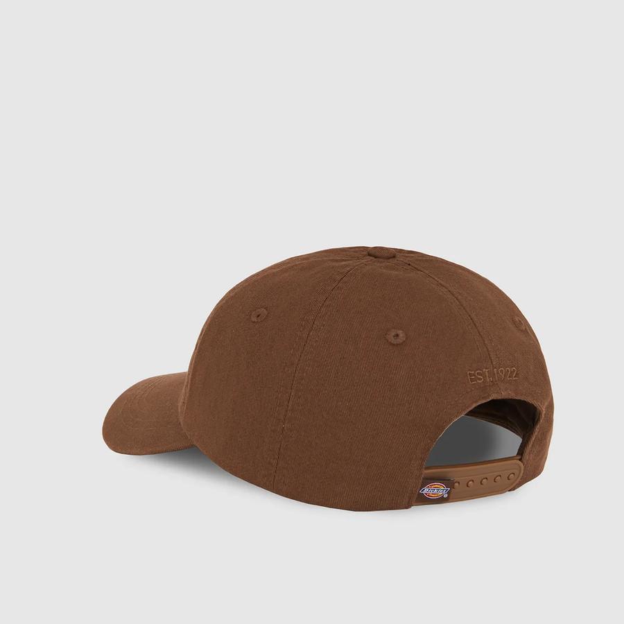 Dickies Hardwick Cap - Timber