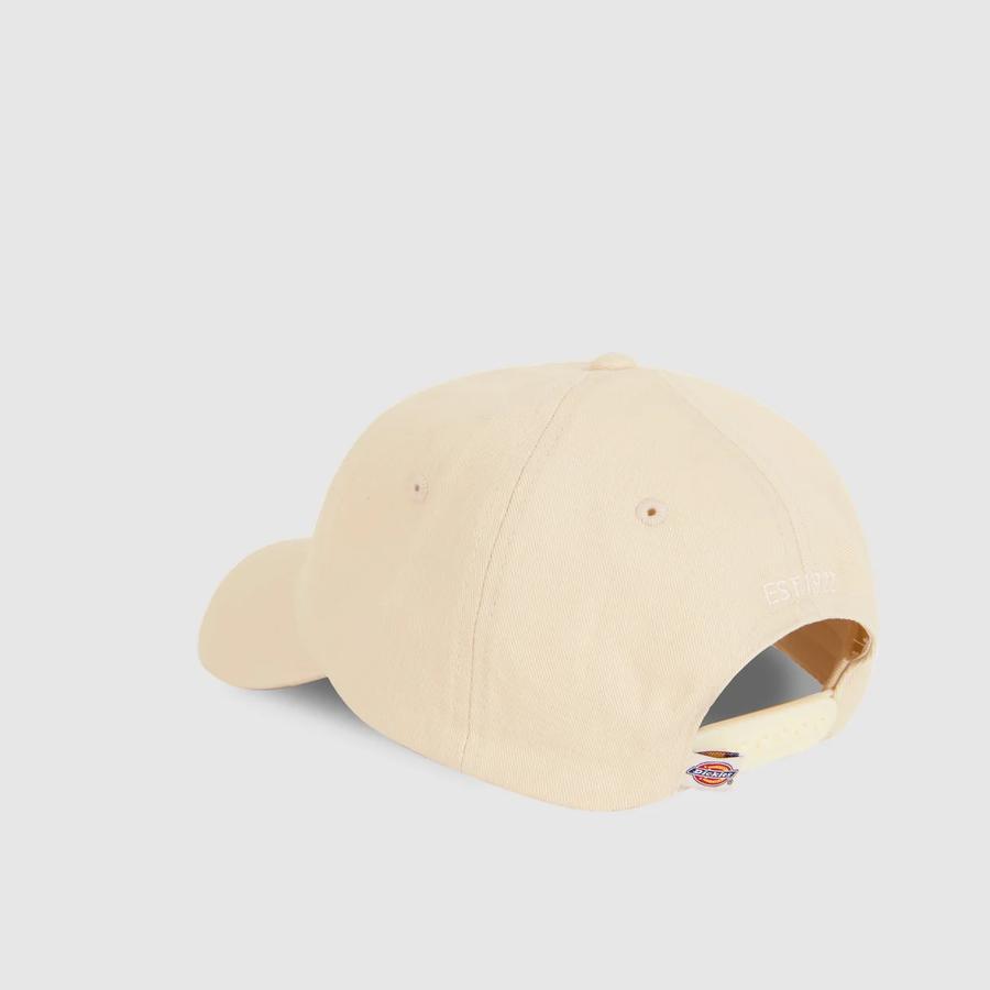 Dickies Hardwick Cap - Whitecap Grey
