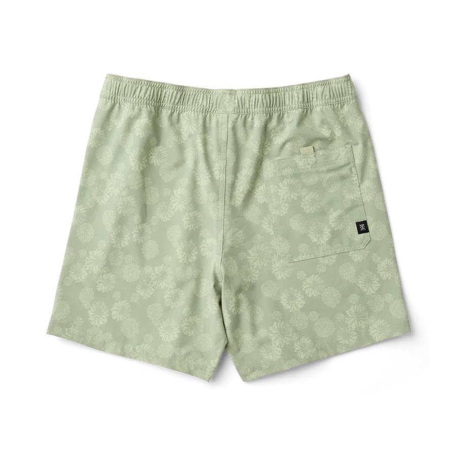Roark Shorey Boardshorts - Sage
