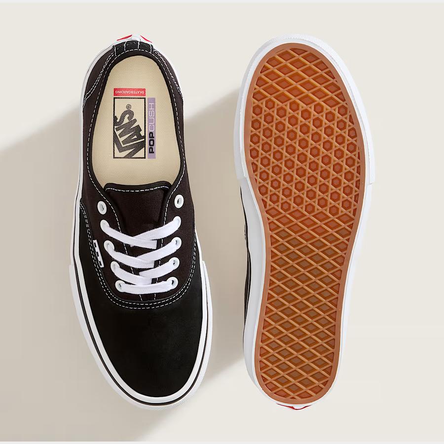 Vans Skate Authentic - Black / White