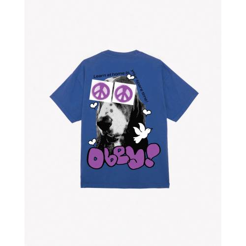 Obey Peace Eyes Heavyweight T-Shirt – Surf Blue
