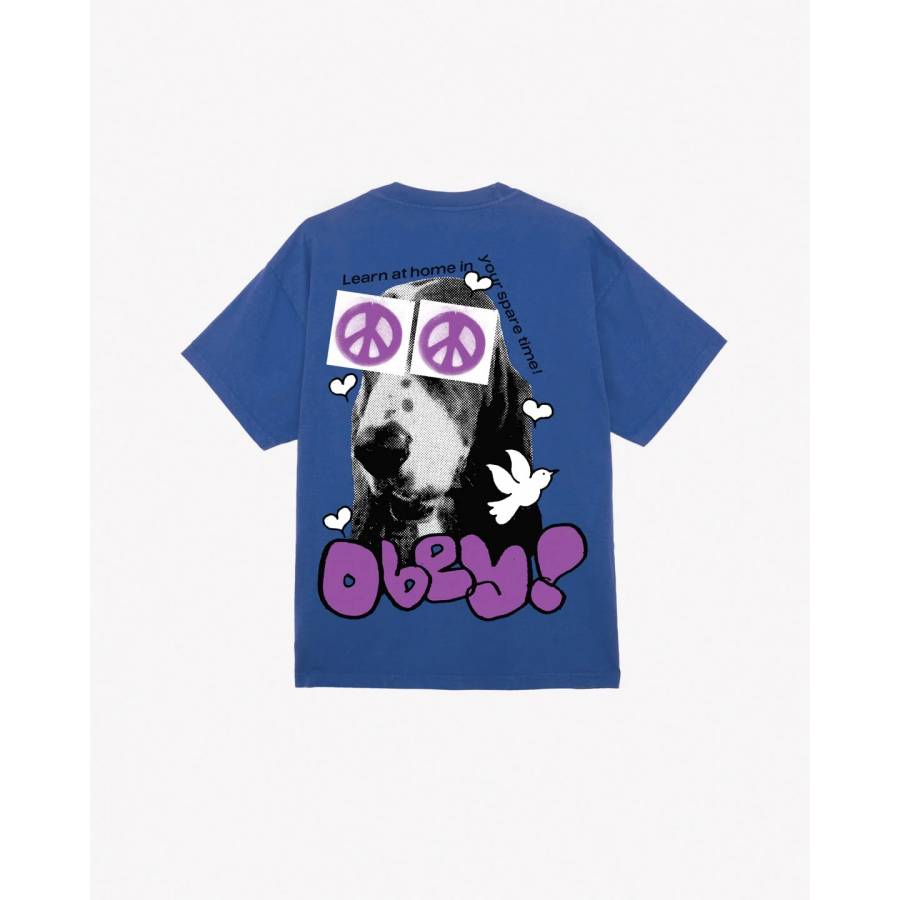 Obey Peace Eyes Heavyweight T-Shirt – Surf Blue
