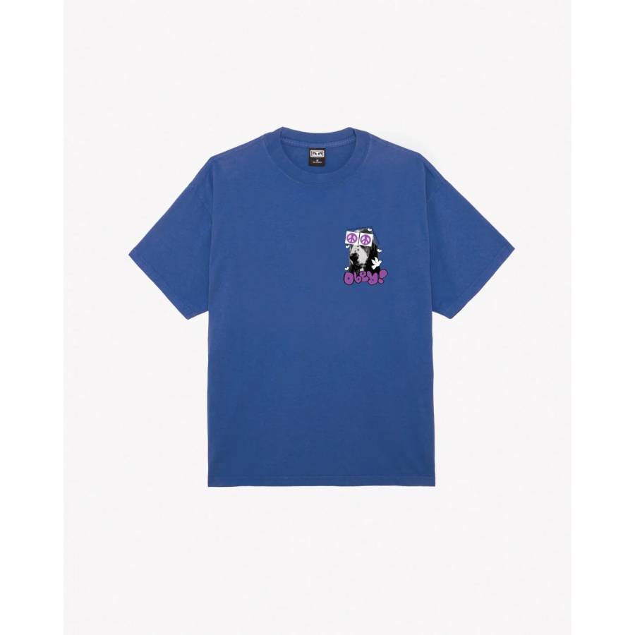 Obey Peace Eyes Heavyweight T-Shirt – Surf Blue